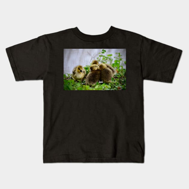 Chick Siblings / Swiss Artwork Photography Kids T-Shirt by RaphaelWolf